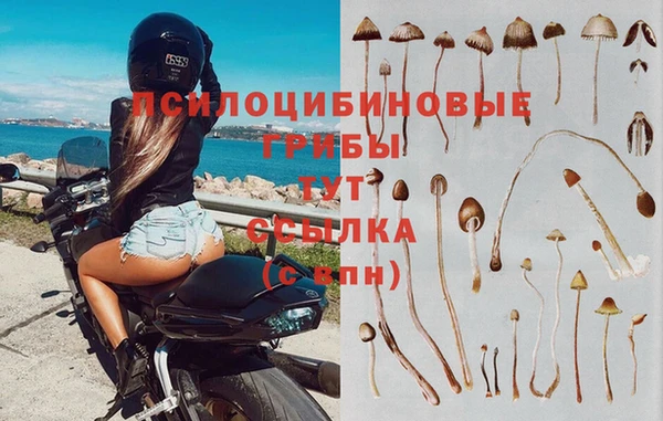 мет Алзамай