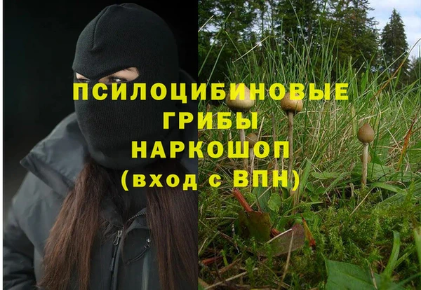a pvp Абаза