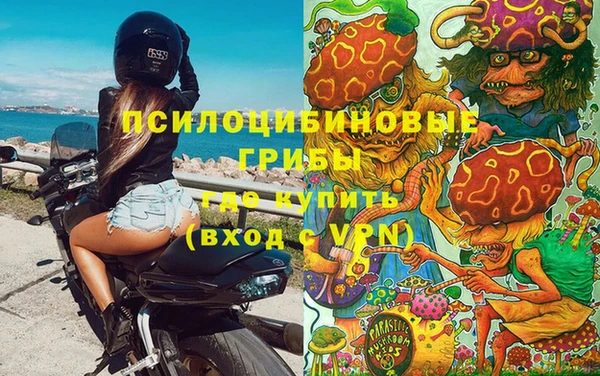 меф Алексин