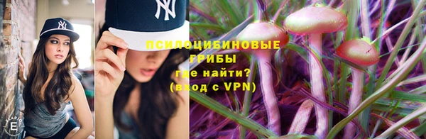 гашик Дегтярск