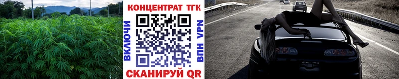 ТГК гашишное масло как найти закладки Богородицк