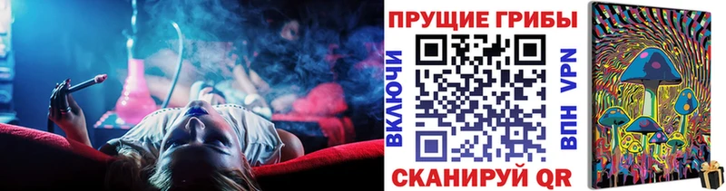 Галлюциногенные грибы Cubensis  mega ONION  Богородицк  купить  сайты 
