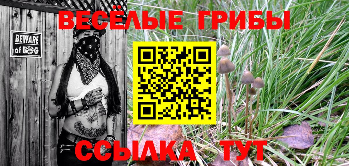 Псилоцибиновые грибы Magic Shrooms Богородицк