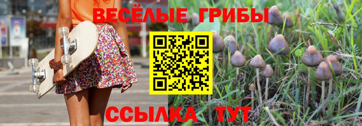 Богородицк  Псилоцибиновые грибы Psilocybine cubensis  Вход с VPN 